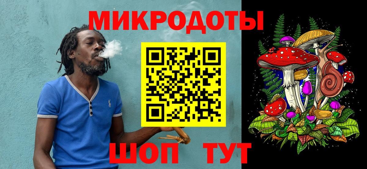 Псилоцибиновые грибы Psilocybe Киселёвск