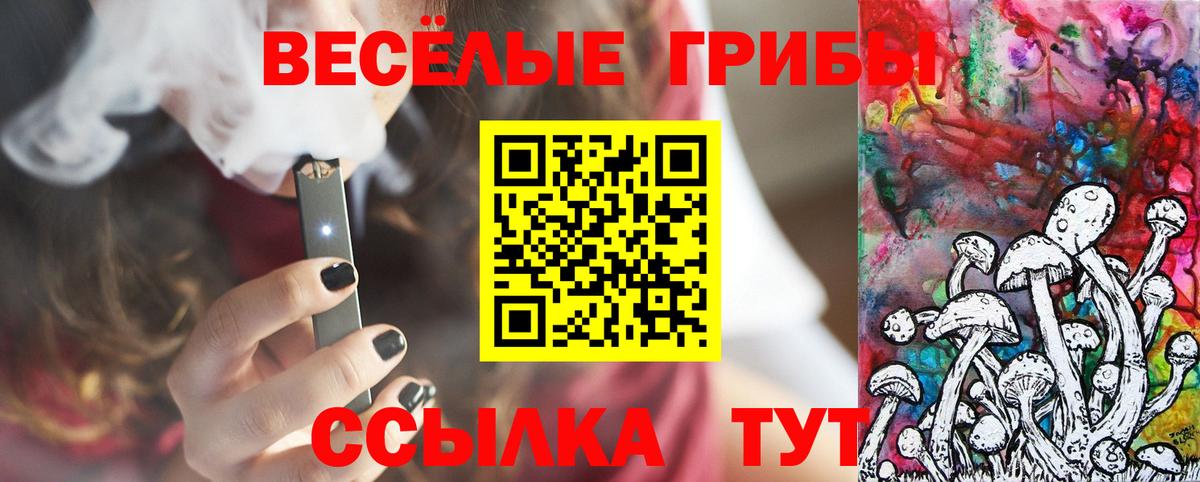 Псилоцибиновые грибы Psilocybine cubensis  Вход с VPN  Киселёвск 